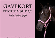 Gavekort til Vedsted Mølle